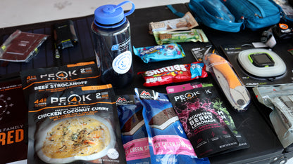 Pilot Survival System