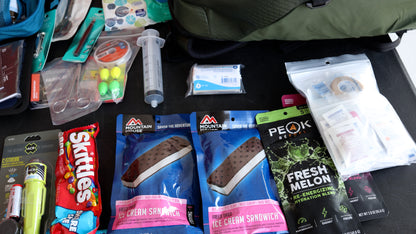 Pilot Survival System